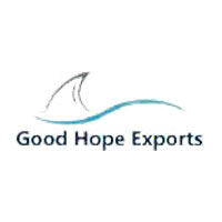 pune/good-hope-exports-bavdhan-pune-9265297 logo