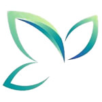 vadodara/fern-agro-international-pvt-ltd-9627837 logo