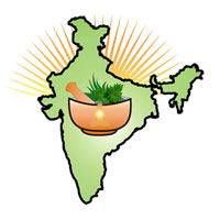 gurgaon/dharmani-herbs-india-pace-city-gurgaon-969644 logo