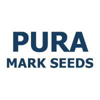 tenkasi/pura-mark-seeds-9861188 logo