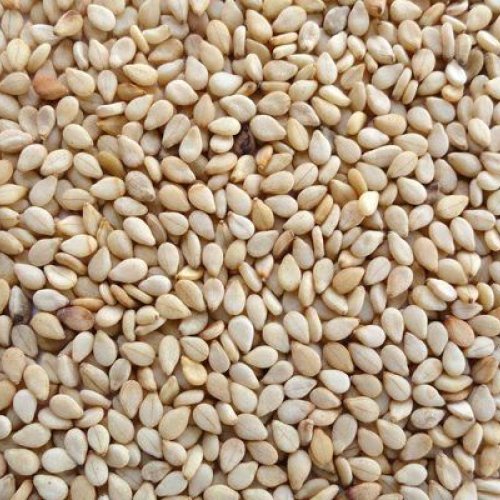 Sesame Seeds