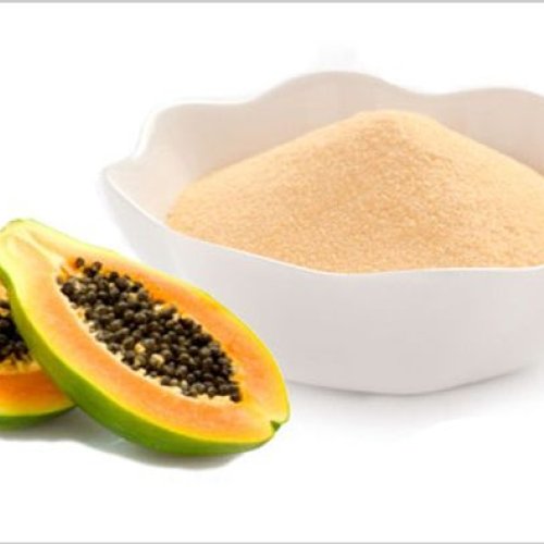 Papaya Extract Powder