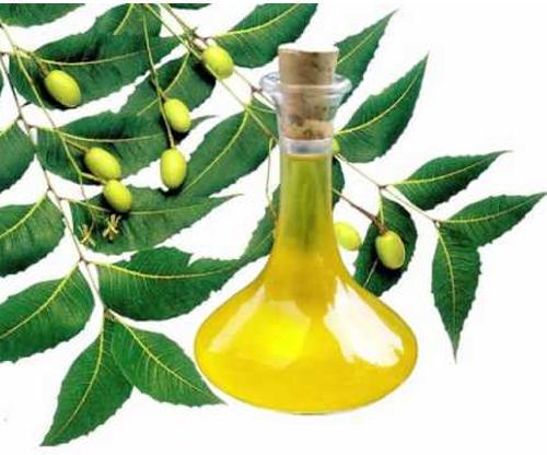 Neem Fruit Oil