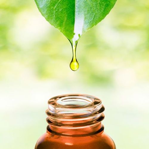 Neem Kernel Oil