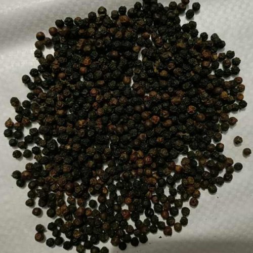 Black Pepper Seeds
