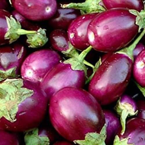 Fresh Brinjal