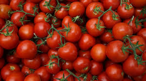 Fresh Tomato