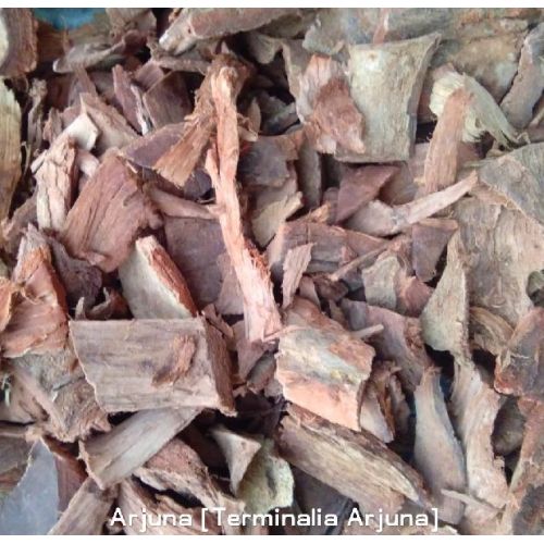 Arjuna Bark