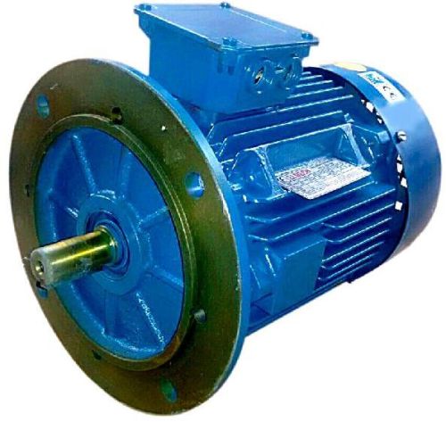 Flange Type Electric Motor