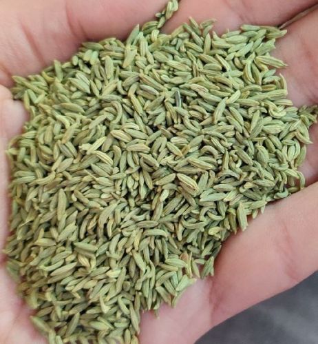 Fennel Seeds
