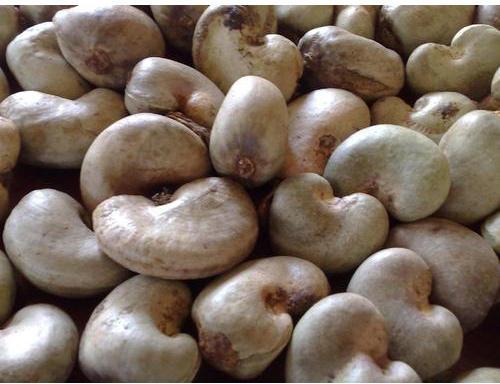 Raw Cashew Nuts