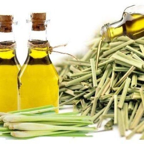 Lemongrass Oil