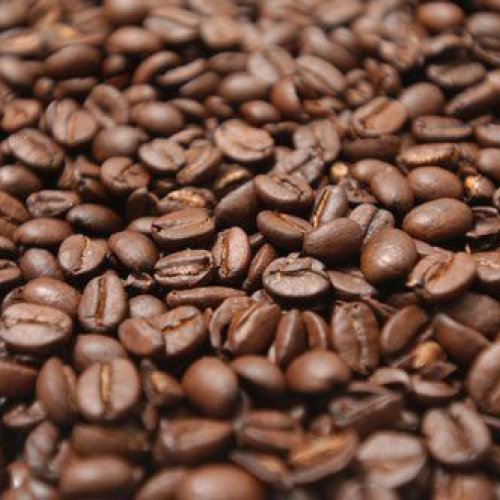 Robusta Coffee Beans