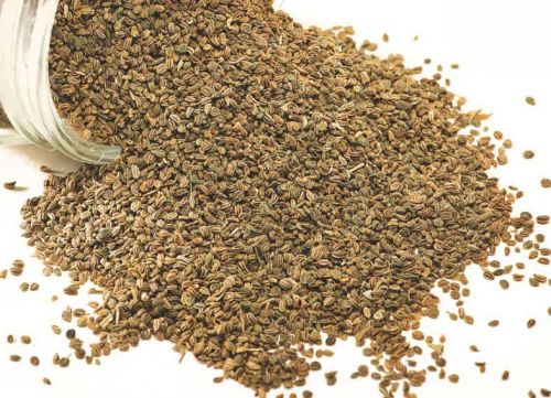Carom Seeds
