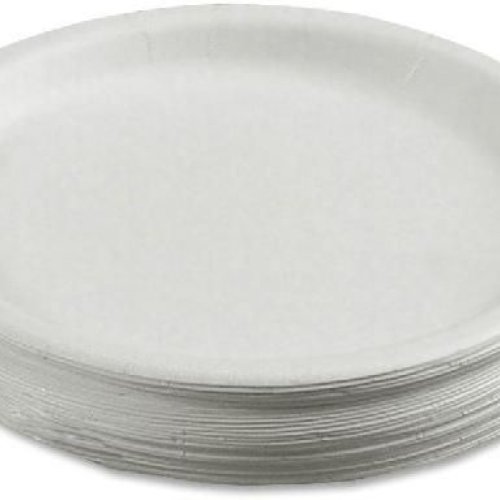 Disposable Paper Plate