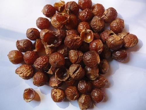 Soapnut Shells