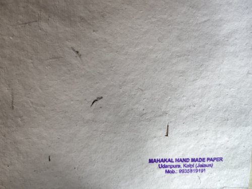Plantable Seed Paper