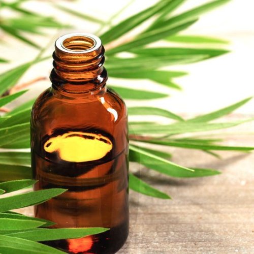 Tea Tree Oil