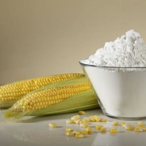 Maize Starch Powder