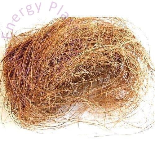 Coir Fibre