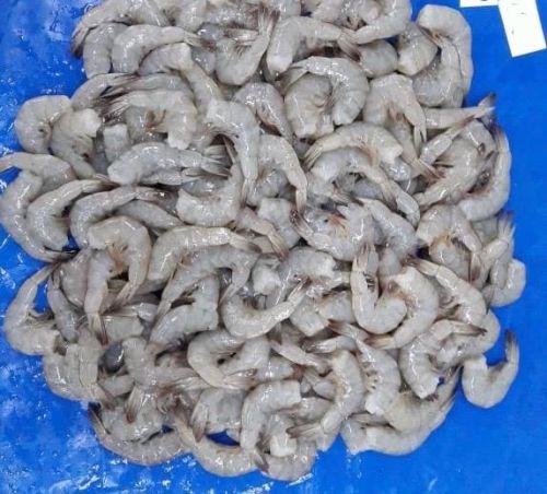 Frozen Vannamei Shrimp