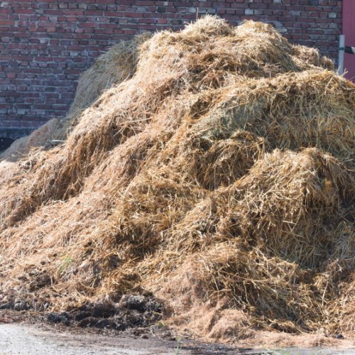 Agro Waste