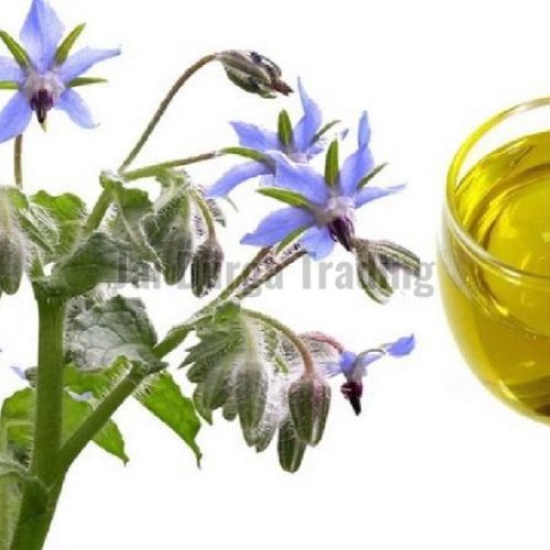 Borage Oil