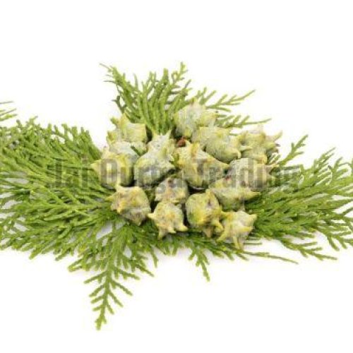 Cypress Oil