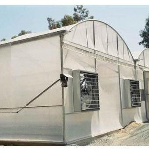 Climate Controlled Polyhouse