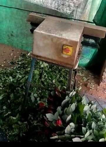 De-Leafing Machine