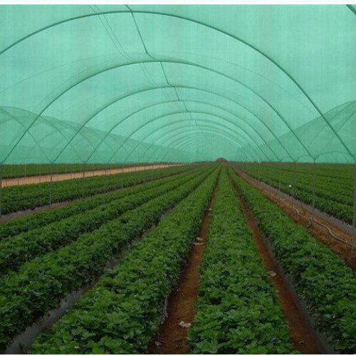 Low Tunnels Agro Shade Net House