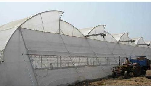 Naturally Ventilated Polyhouse
