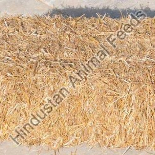 Wheat Straw