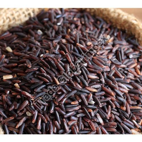 Black Rice