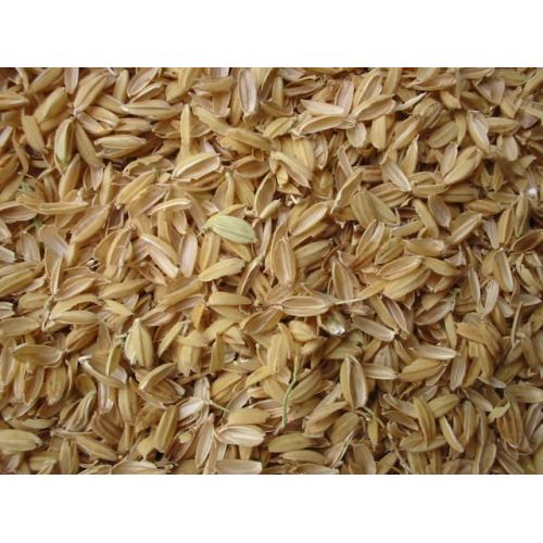 Rice Husk