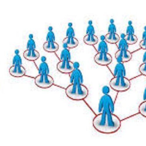 MLM Website Hosting Serivice