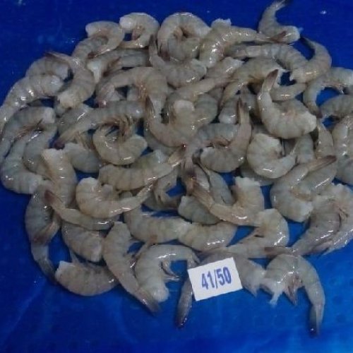 Headless Vannamei Shrimp
