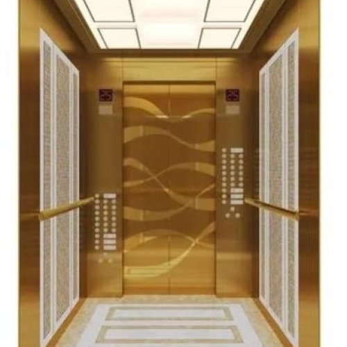 Automatic Passenger Elevator