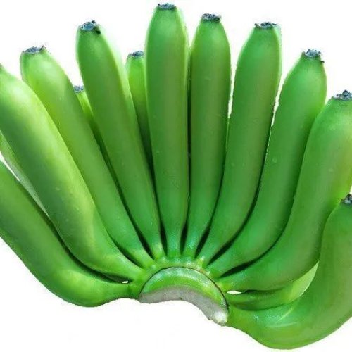G9 Cavendish Banana