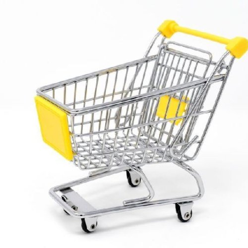 Stainless Steel Shopping Trolley