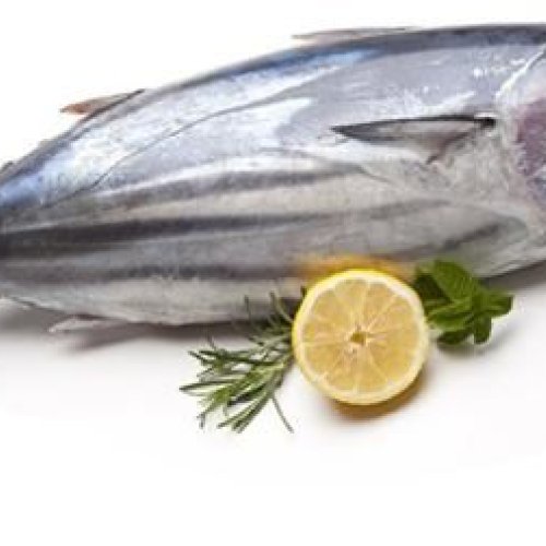Fresh Tuna Fish