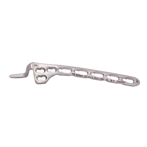 LCP Hook Plate