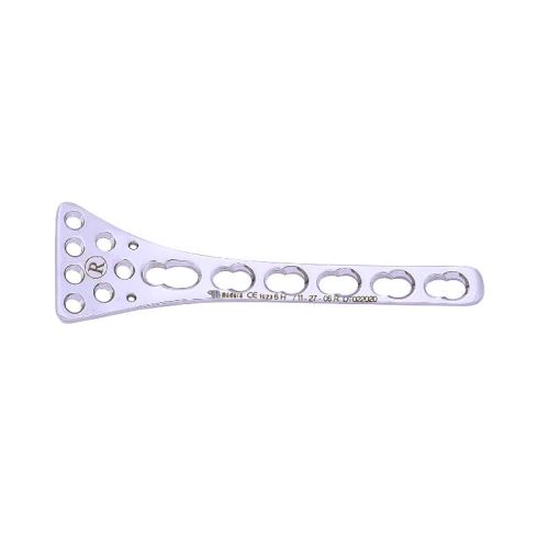 Locking Distal Volar Plate