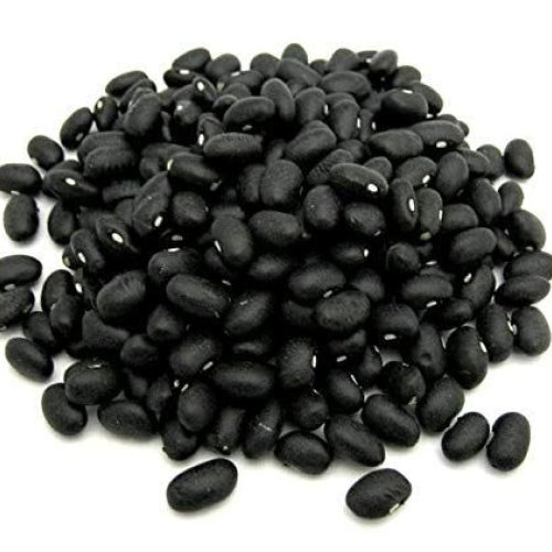 Black Kaunch Seeds