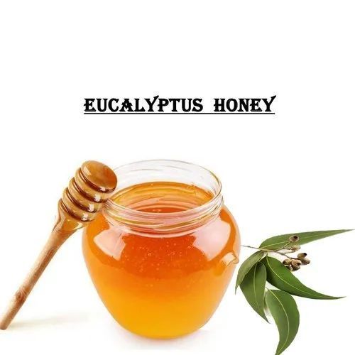 Eucalyptus Honey