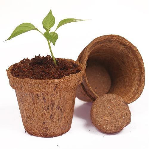 Coco Fiber Pots