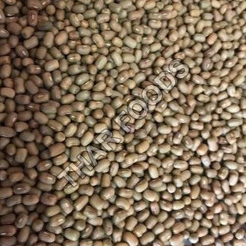 Moth Beans