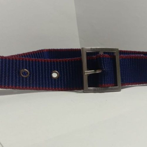 Dog Collars