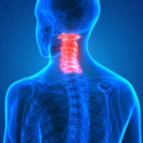 Spine Surgery Services