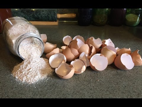 Egg Shell Powder